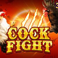 Cock Fight